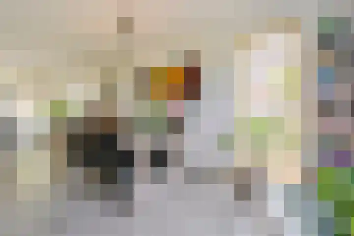 Jacob Katsstraat 11 Alteveer thumbnail 18