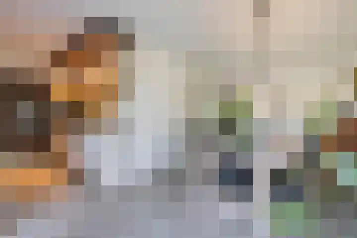 Jacob Katsstraat 11 Alteveer thumbnail 19