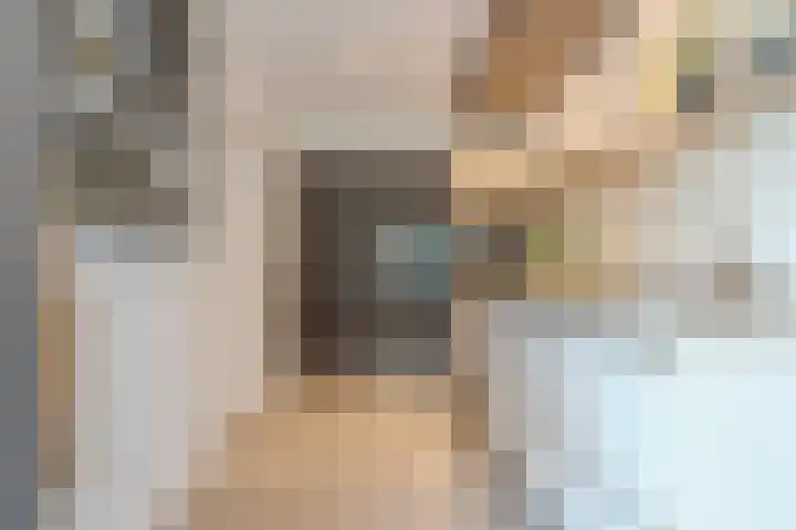 Jacob Katsstraat 11 Alteveer thumbnail 20
