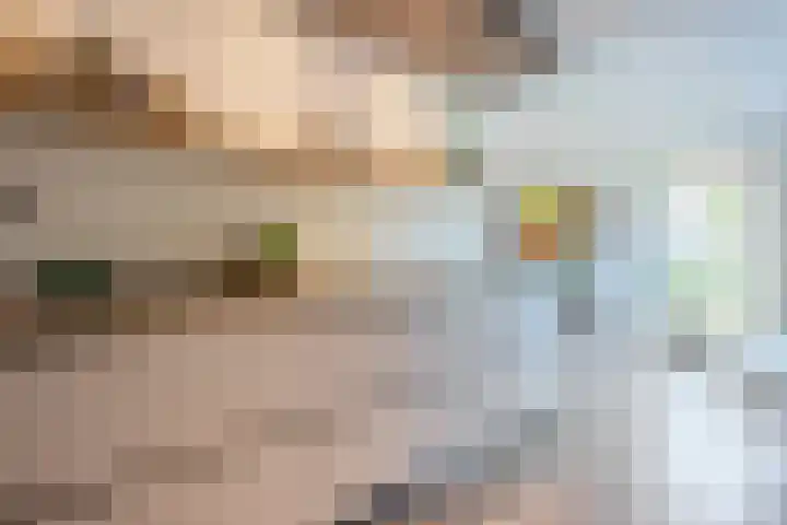Jacob Katsstraat 11 Alteveer thumbnail 22