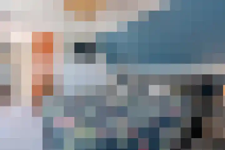 Jacob Katsstraat 11 Alteveer thumbnail 32