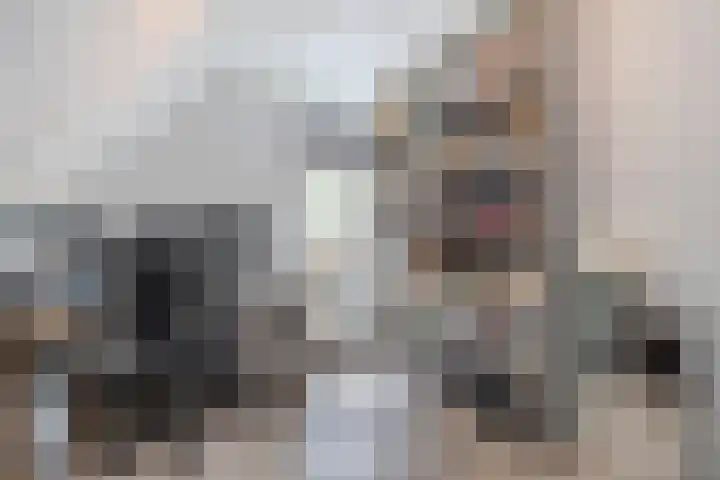 Jacob Katsstraat 11 Alteveer thumbnail 42