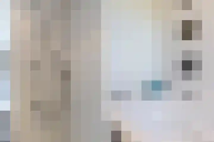 Jacob Katsstraat 11 Alteveer thumbnail 49