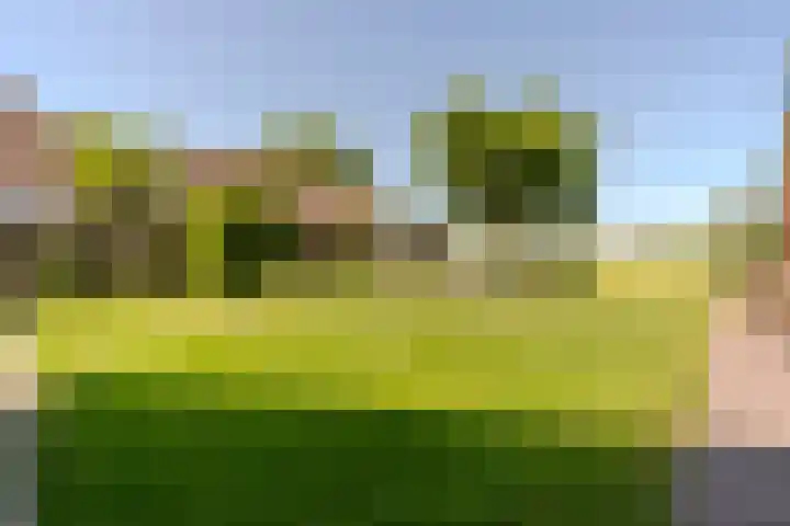 Jacob Katsstraat 11 Alteveer thumbnail 51
