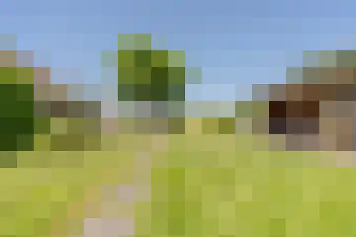 Jacob Katsstraat 11 Alteveer thumbnail 53