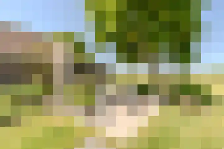Jacob Katsstraat 11 Alteveer thumbnail 54