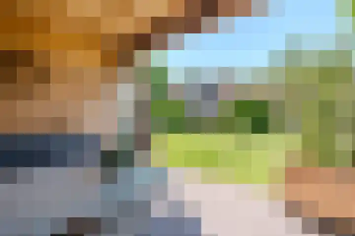 Jacob Katsstraat 11 Alteveer thumbnail 58