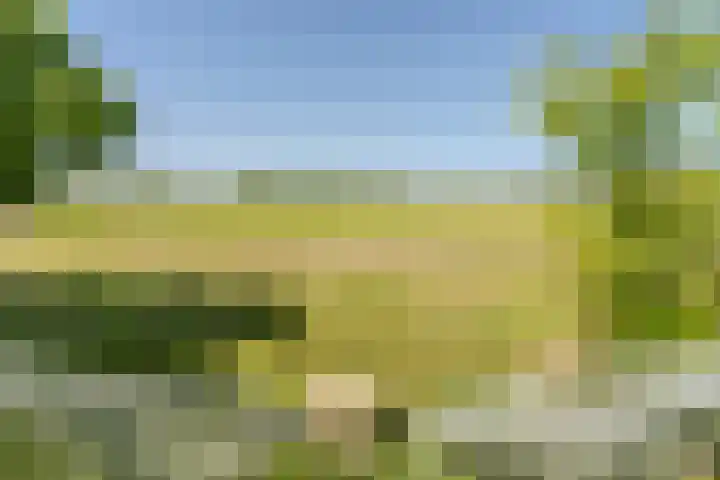Jacob Katsstraat 11 Alteveer thumbnail 61