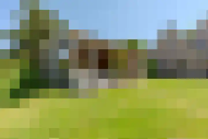 Jacob Katsstraat 11 Alteveer thumbnail 62