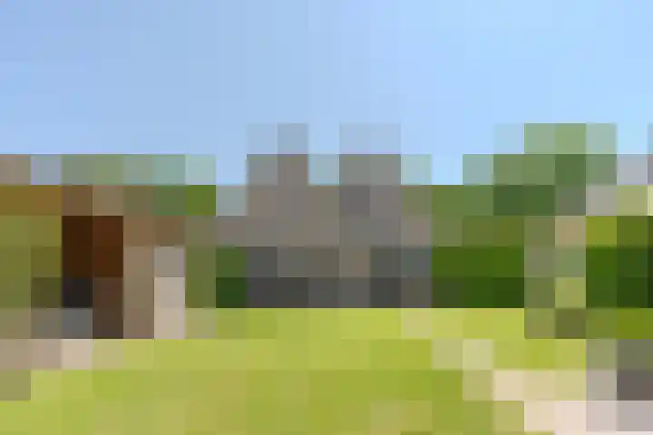 Jacob Katsstraat 11 Alteveer thumbnail 63