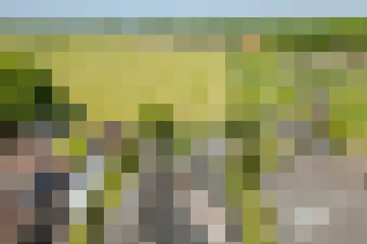 Jacob Katsstraat 11 Alteveer thumbnail 65