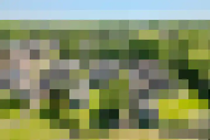 Jacob Katsstraat 11 Alteveer thumbnail 67