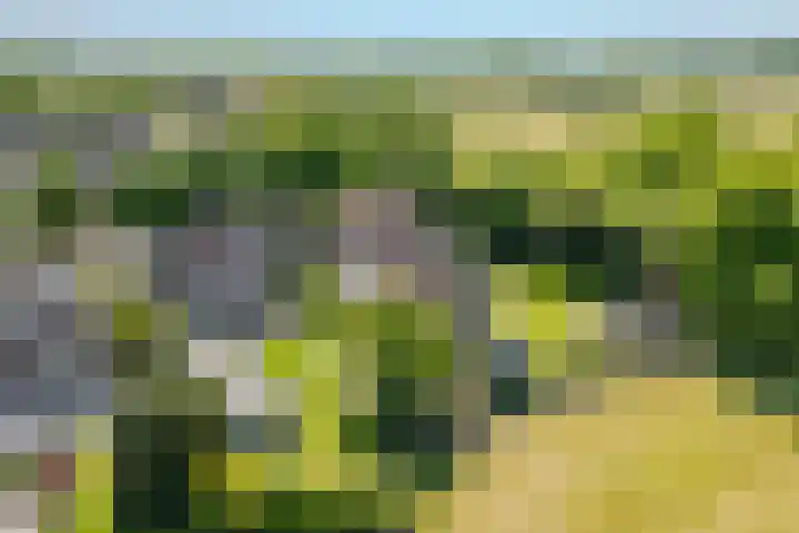 Jacob Katsstraat 11 Alteveer thumbnail 68