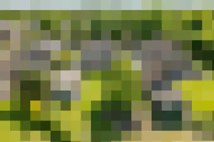 Jacob Katsstraat 11 Alteveer thumbnail 69