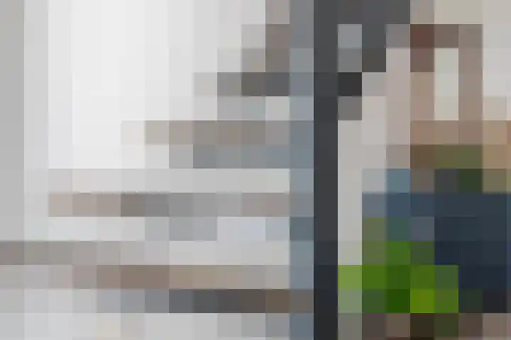 Jacob Katsstraat 11 Alteveer thumbnail 7