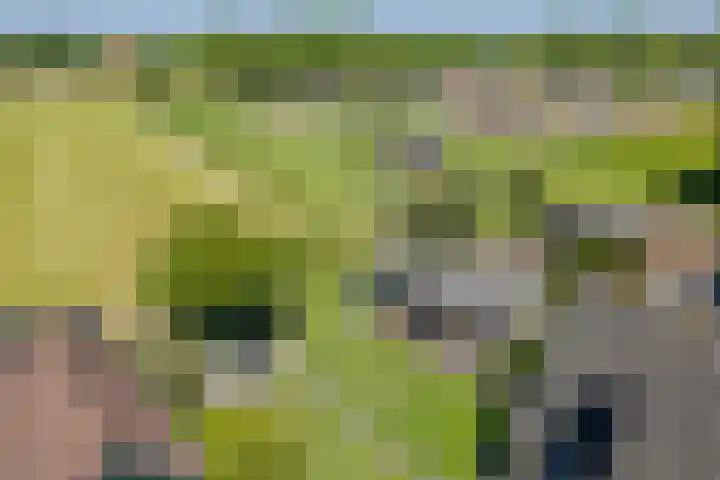 Jacob Katsstraat 11 Alteveer thumbnail 70
