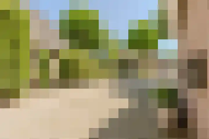 Jacob Katsstraat 11 Alteveer thumbnail 75