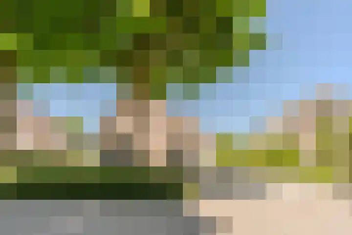 Jacob Katsstraat 11 Alteveer thumbnail 76