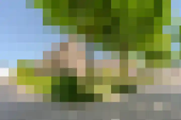 Jacob Katsstraat 11 Alteveer thumbnail 77