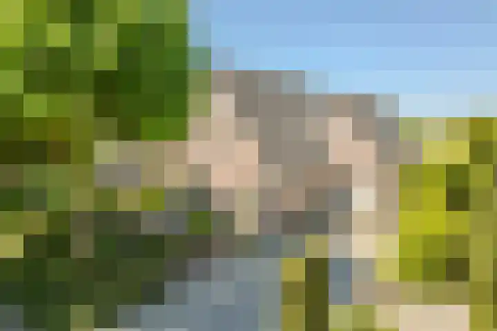 Jacob Katsstraat 11 Alteveer thumbnail 82