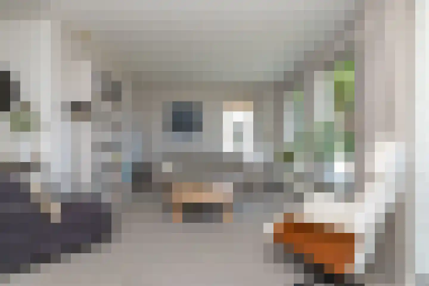 Jacob Katsstraat 3 Alteveer thumbnail 10