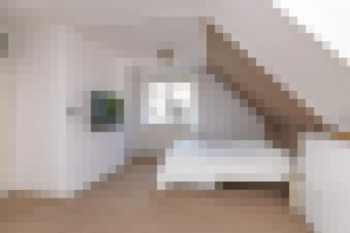 Jacob Katsstraat 3 Alteveer thumbnail 26