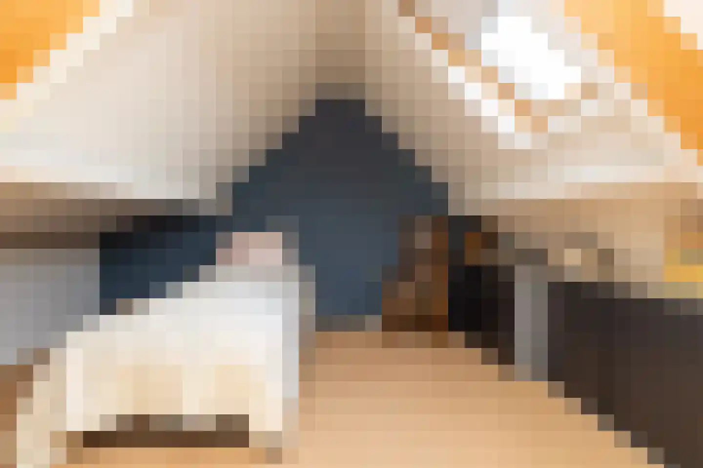 Jacob Katsstraat 3 Alteveer thumbnail 35