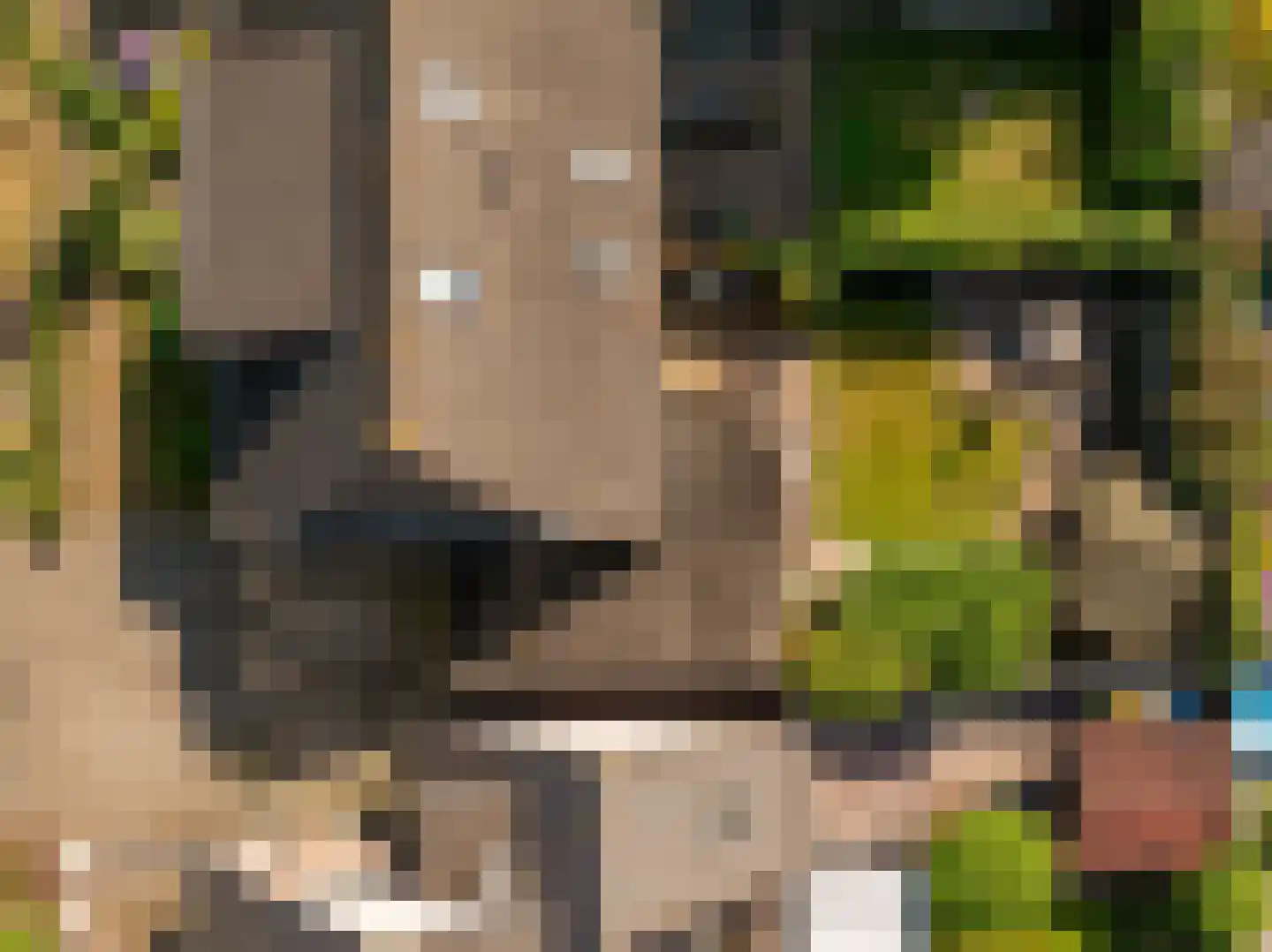 Jacob Katsstraat 3 Alteveer thumbnail 37