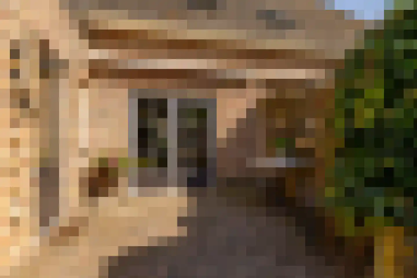 Jacob Katsstraat 3 Alteveer thumbnail 40
