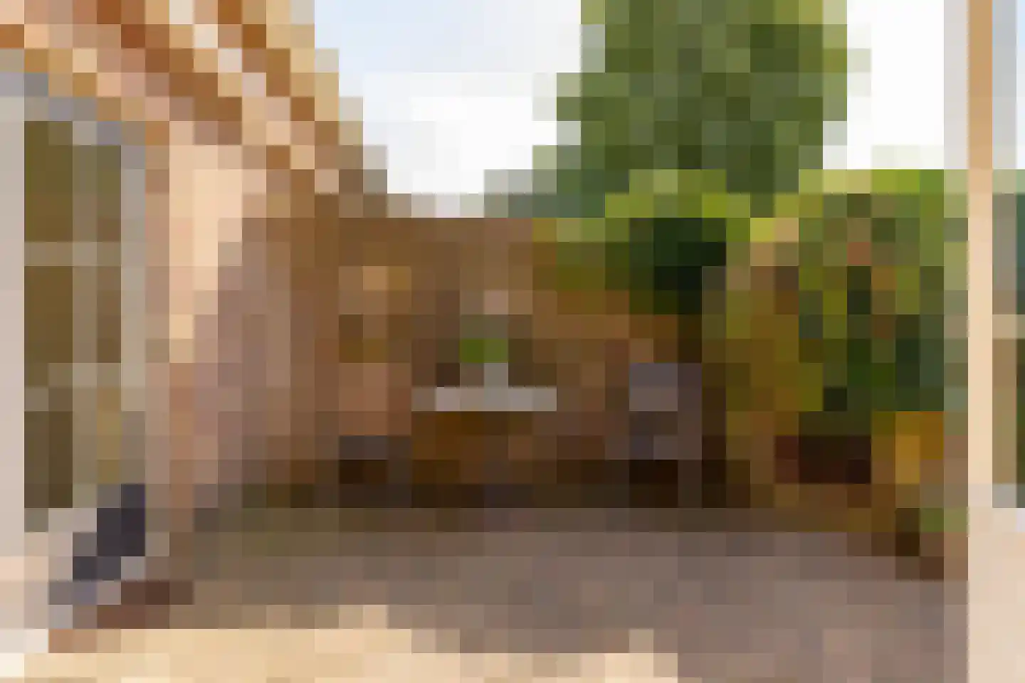 Jacob Katsstraat 3 Alteveer thumbnail 41