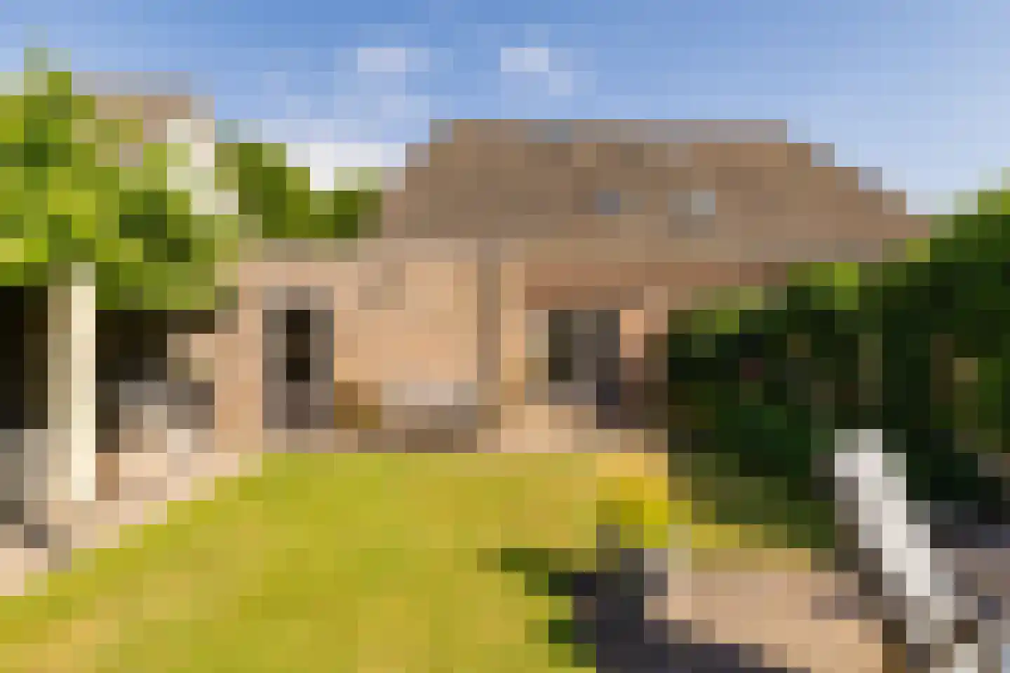 Jacob Katsstraat 3 Alteveer thumbnail 42