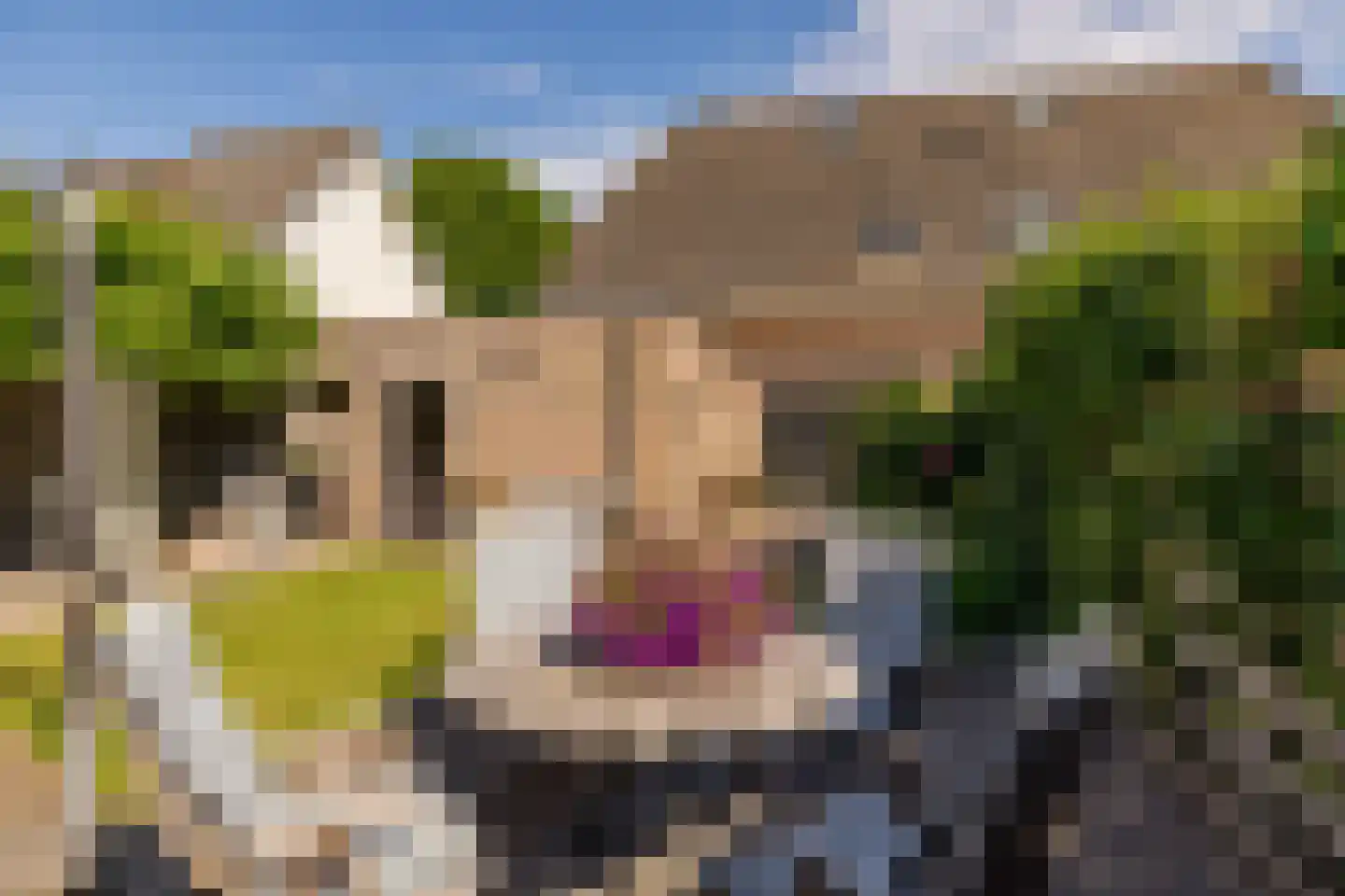 Jacob Katsstraat 3 Alteveer thumbnail 43