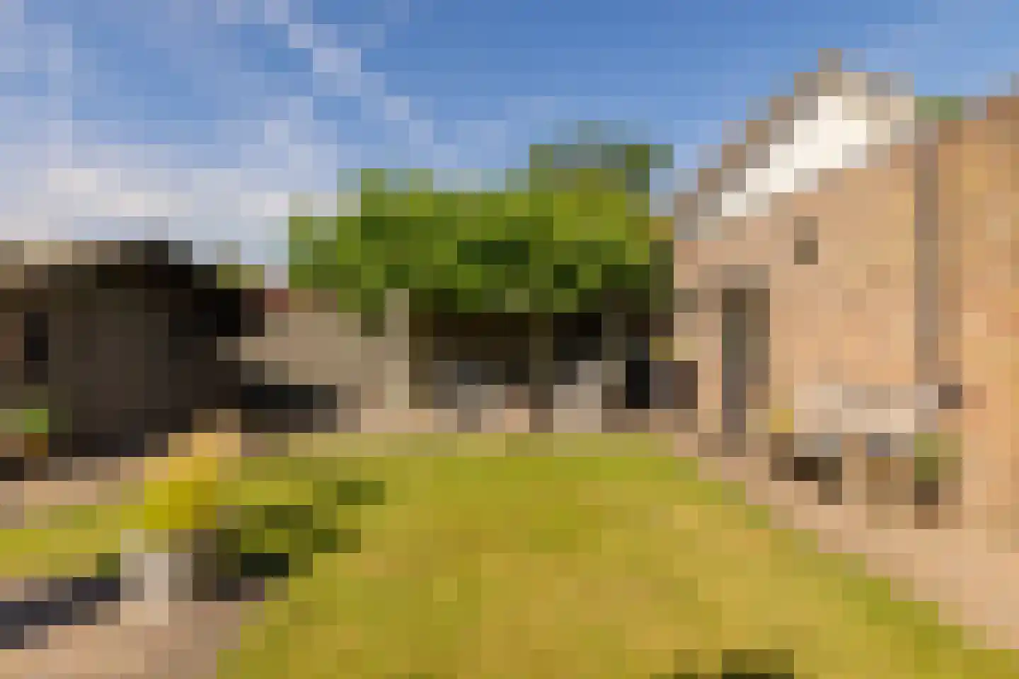 Jacob Katsstraat 3 Alteveer thumbnail 44