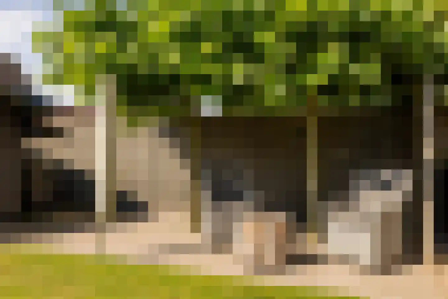 Jacob Katsstraat 3 Alteveer thumbnail 45