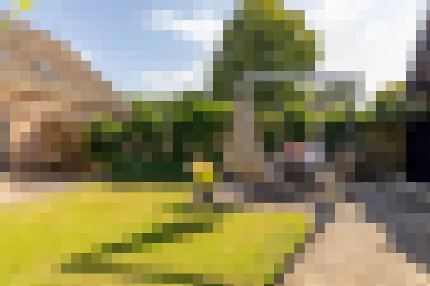 Jacob Katsstraat 3 Alteveer thumbnail 47