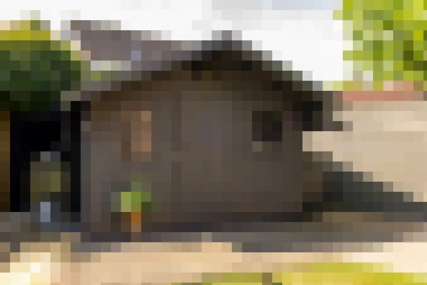 Jacob Katsstraat 3 Alteveer thumbnail 48