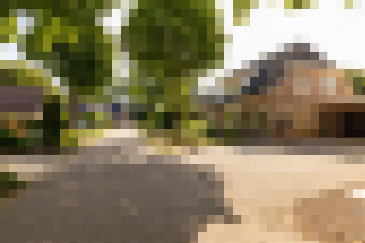 Jacob Katsstraat 3 Alteveer thumbnail 52