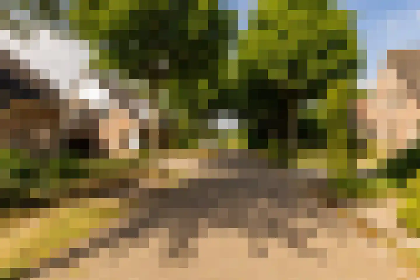 Jacob Katsstraat 3 Alteveer thumbnail 56