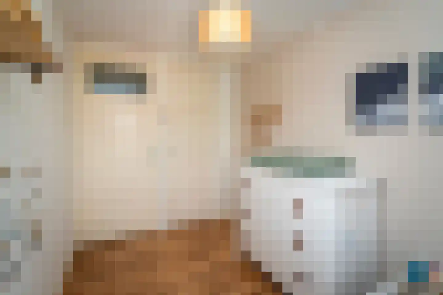 Jacob Lemairestraat 8 Tilburg thumbnail 22