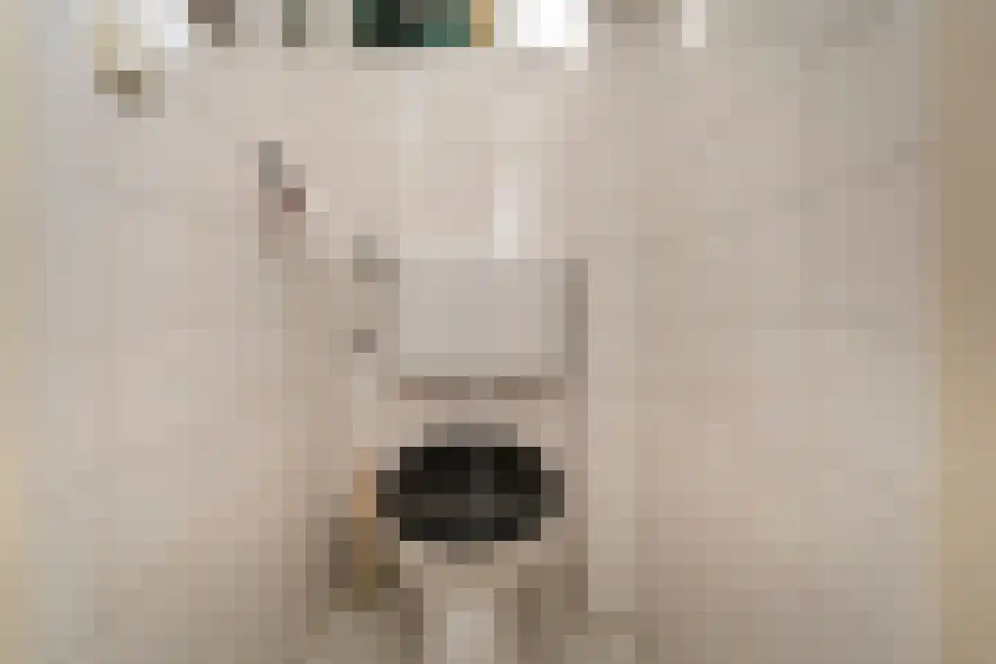 Jacob Lemairestraat 8 Tilburg thumbnail 8