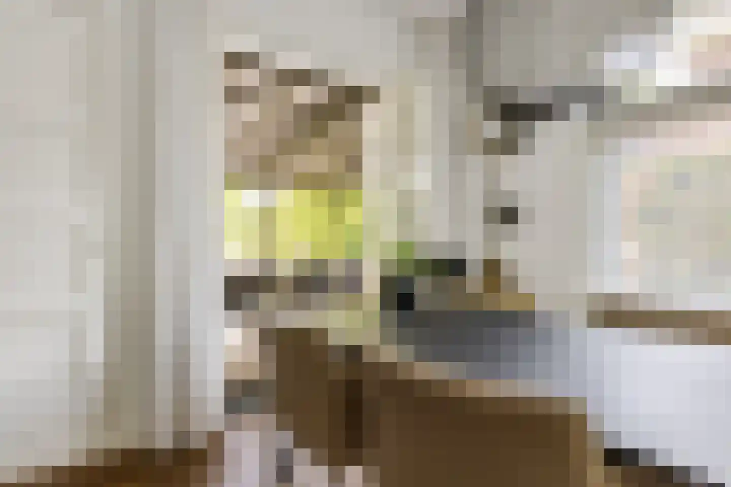 Jacob Marislaan 10 Arnhem thumbnail 20