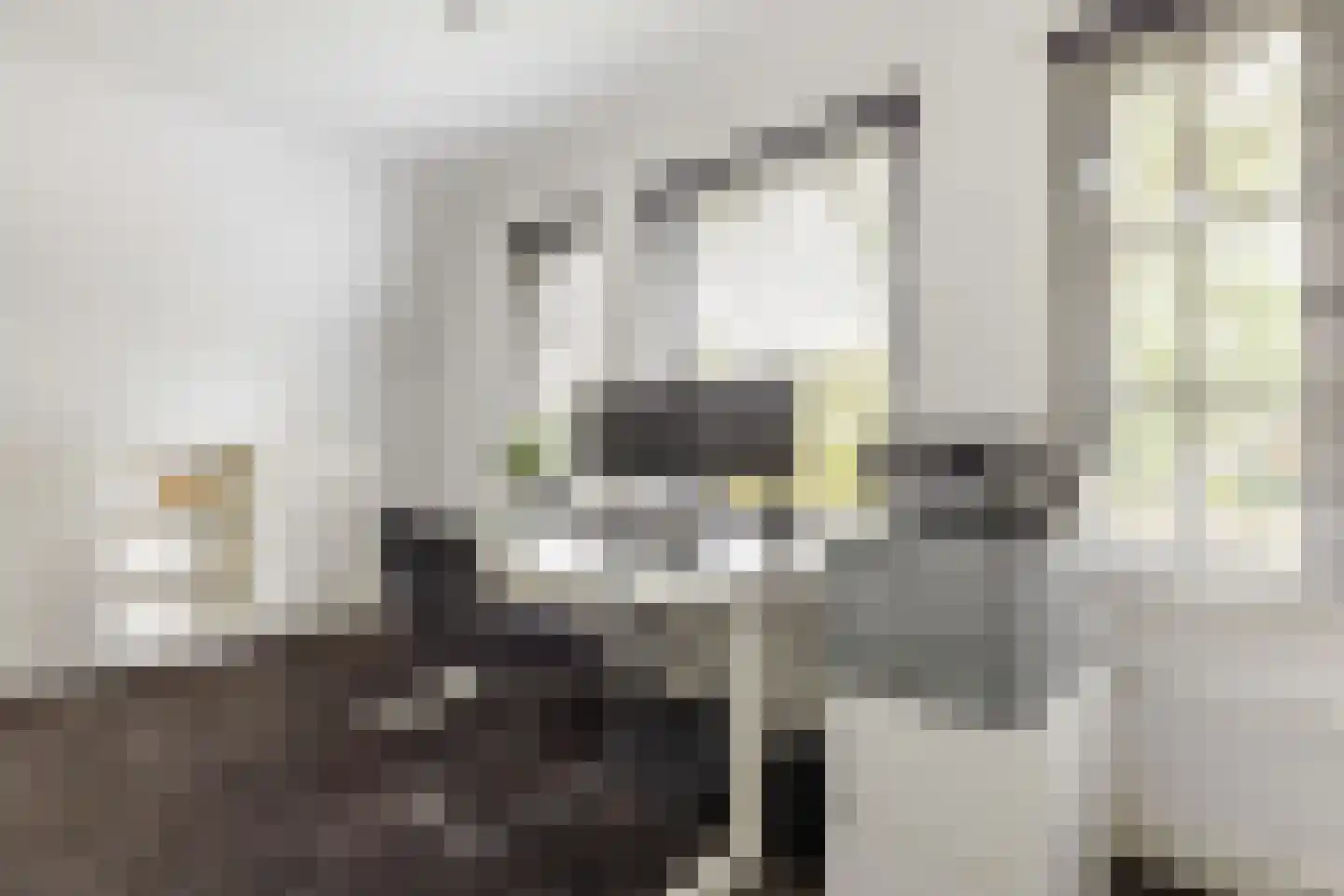 Jacob Marislaan 10 Arnhem thumbnail 33