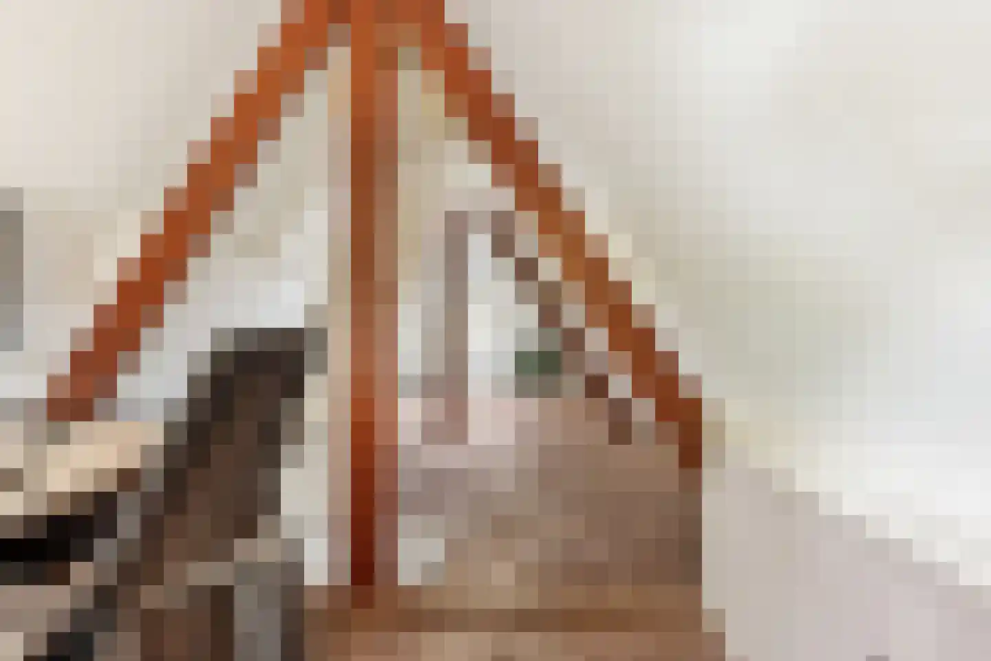 Jacob Marislaan 10 Arnhem thumbnail 37