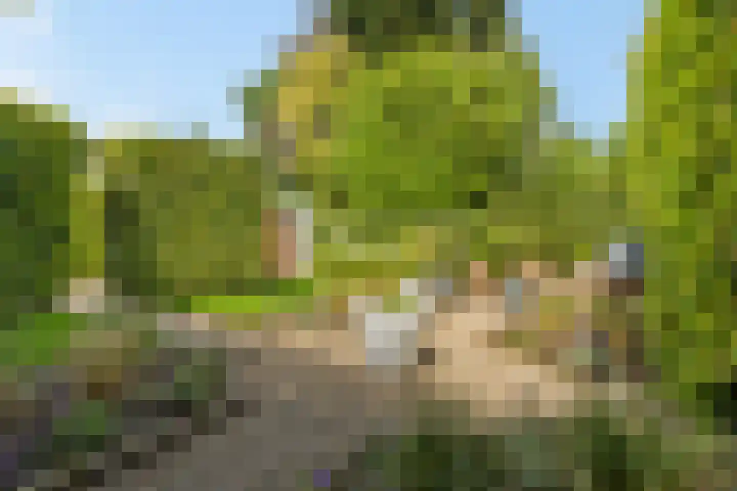 Jacob Marislaan 10 Arnhem thumbnail 45