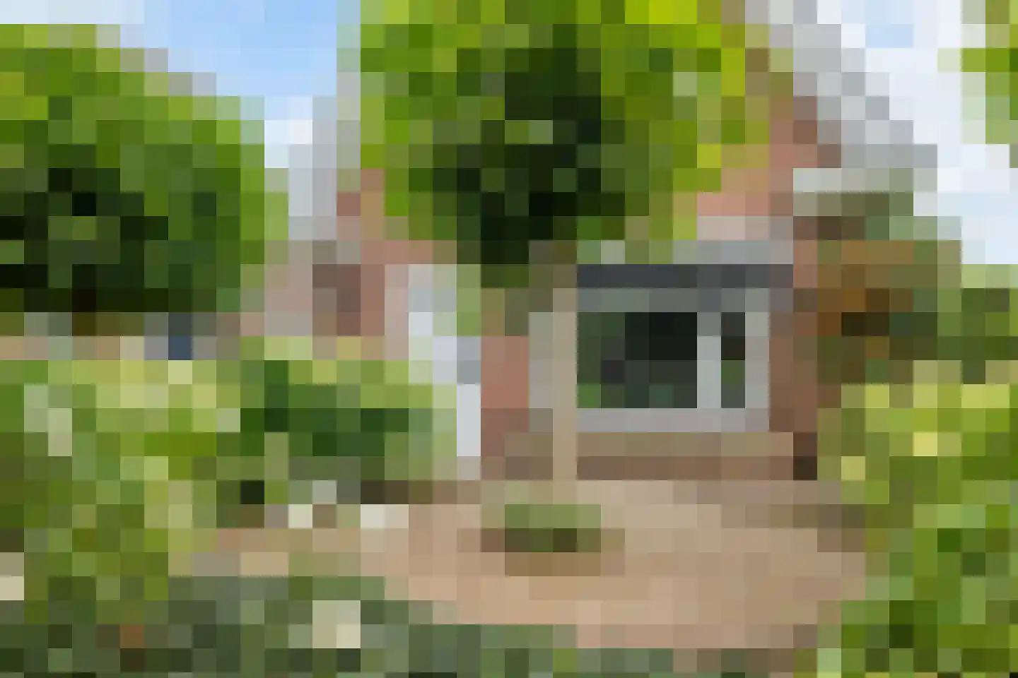 Jacob Marislaan 10 Arnhem thumbnail 57