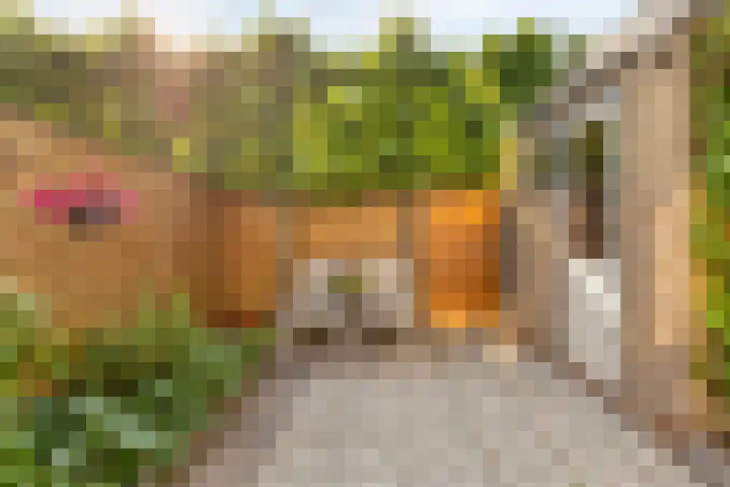 Jacob Marislaan 22 Hillegom thumbnail 14