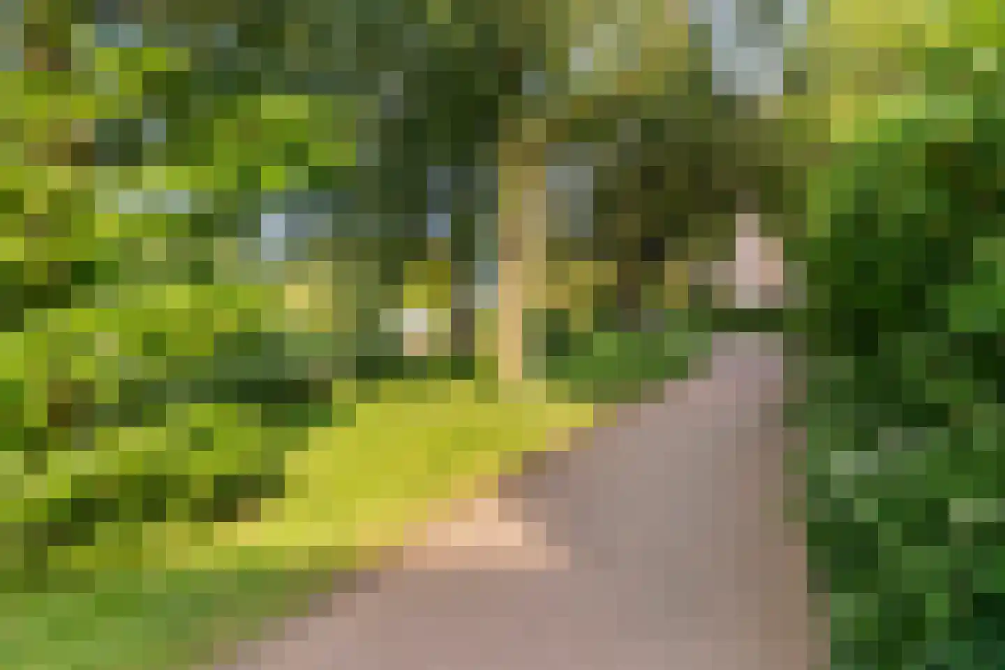 Jacob Marislaan 22 Hillegom thumbnail 29