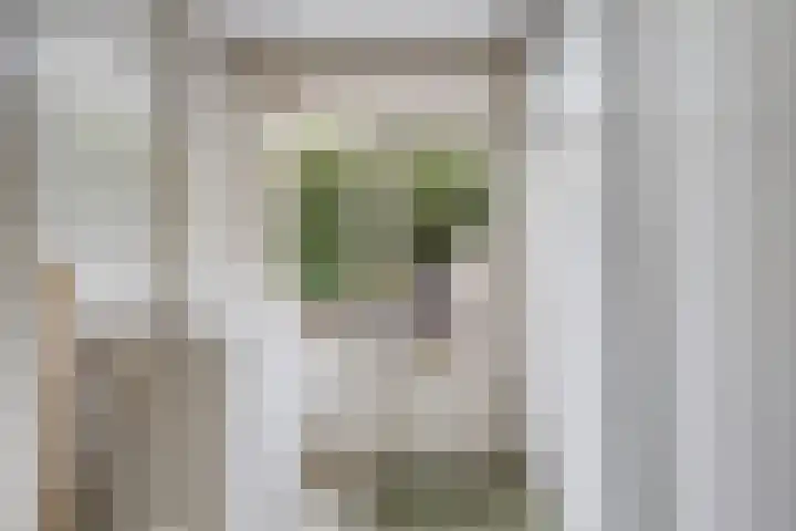 Jacob Marislaan 24 Hillegom thumbnail 14