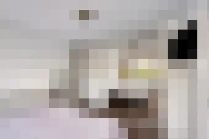 Jacob Marislaan 24 Hillegom thumbnail 19