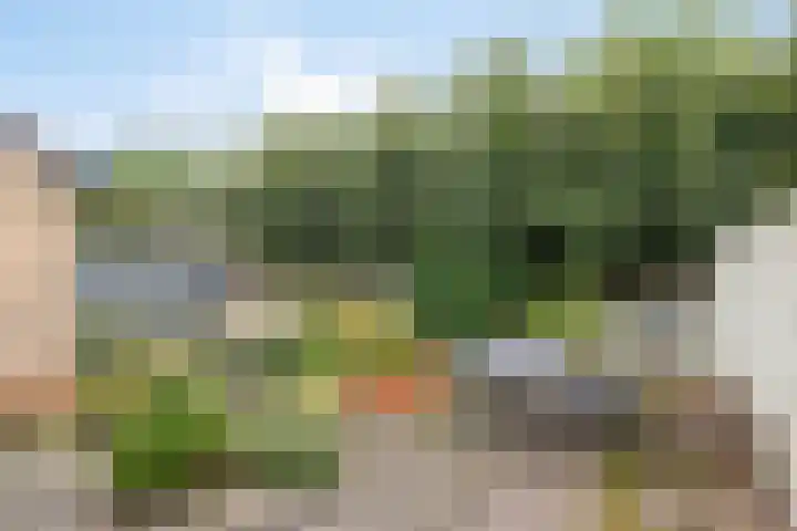 Jacob Marislaan 24 Hillegom thumbnail 30